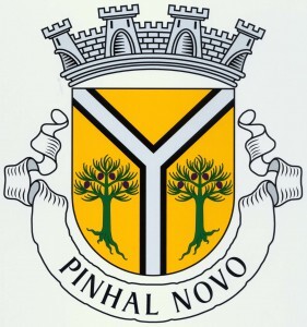bandeira junta de freguesia de pinhal novo